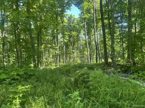 50 Acres Off Co Rd 510, Ishpeming, MI 49849 photo 10