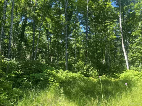 50 Acres Off Co Rd 510, Ishpeming, MI 49849 photo 9