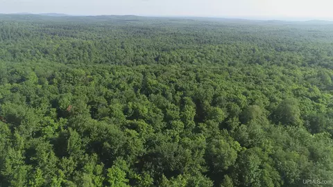 50 Acres Off Co Rd 510, Ishpeming, MI 49849 photo 21