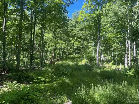 50 Acres Off Co Rd 510, Ishpeming, MI 49849 photo 11