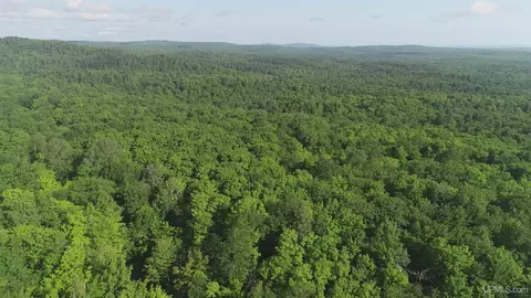 50 Acres Off Co Rd 510, Ishpeming, MI 49849 photo 18