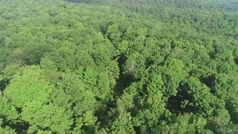 50 Acres Off Co Rd 510, Ishpeming, MI 49849 photo 27