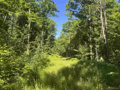 50 Acres Off Co Rd 510, Ishpeming, MI 49849 photo 8