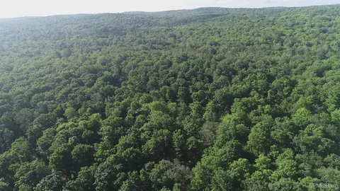 50 Acres Off Co Rd 510, Ishpeming, MI 49849 photo 22