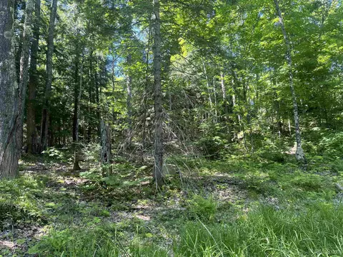 50 Acres Off Co Rd 510, Ishpeming, MI 49849 photo 4
