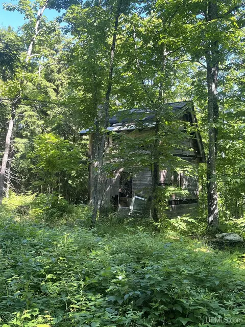 50 Acres Off Co Rd 510, Ishpeming, MI 49849 photo 17