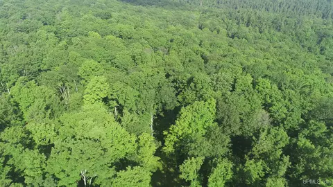 50 Acres Off Co Rd 510, Ishpeming, MI 49849 photo 29