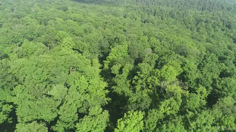 50 Acres Off Co Rd 510, Ishpeming, MI 49849 photo 28