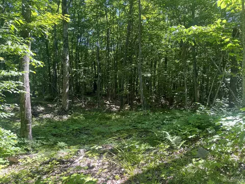 50 Acres Off Co Rd 510, Ishpeming, MI 49849 photo 6