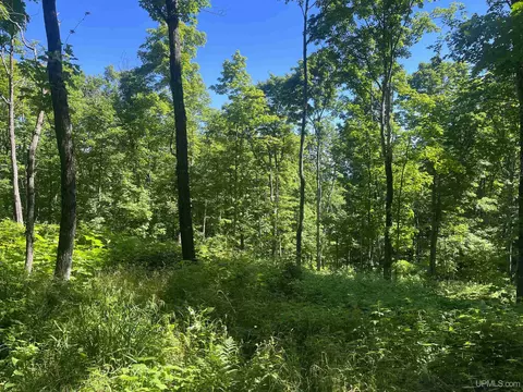 50 Acres Off Co Rd 510, Ishpeming, MI 49849 photo 16