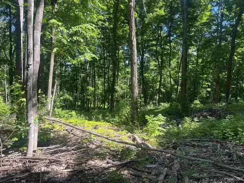 50 Acres Off Co Rd 510, Ishpeming, MI 49849 photo 7