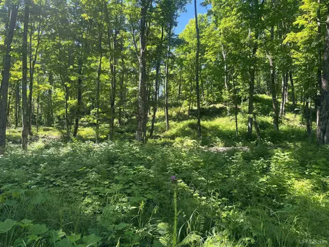 50 Acres Off Co Rd 510, Ishpeming, MI 49849