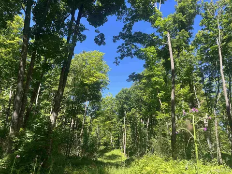 50 Acres Off Co Rd 510, Ishpeming, MI 49849 photo 12