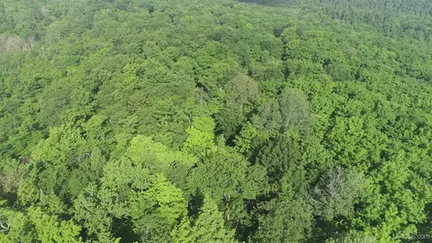 50 Acres Off Co Rd 510, Ishpeming, MI 49849 photo 26