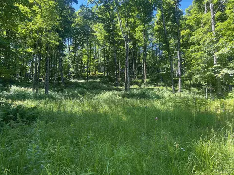 50 Acres Off Co Rd 510, Ishpeming, MI 49849 photo 13