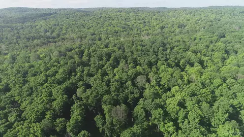 50 Acres Off Co Rd 510, Ishpeming, MI 49849 photo 23
