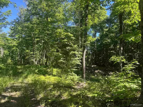 50 Acres Off Co Rd 510, Ishpeming, MI 49849 photo 5