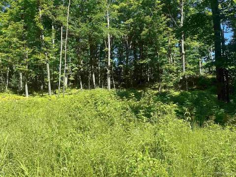 50 Acres Off Co Rd 510, Ishpeming, MI 49849 photo 14