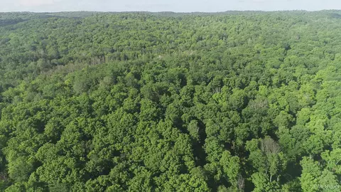 50 Acres Off Co Rd 510, Ishpeming, MI 49849 photo 24