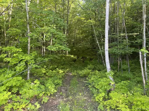20 Acres Off Co Rd 510, Ishpeming, MI 49849 photo 11