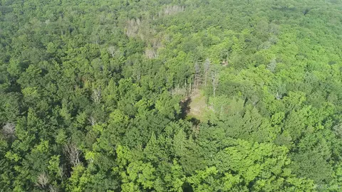 20 Acres Off Co Rd 510, Ishpeming, MI 49849 photo 29