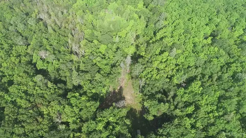 20 Acres Off Co Rd 510, Ishpeming, MI 49849 photo 30