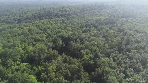 20 Acres Off Co Rd 510, Ishpeming, MI 49849 photo 16