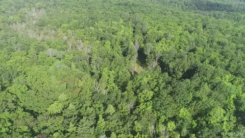 20 Acres Off Co Rd 510, Ishpeming, MI 49849 photo 24