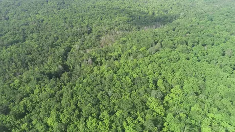 20 Acres Off Co Rd 510, Ishpeming, MI 49849 photo 25