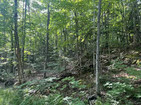 20 Acres Off Co Rd 510, Ishpeming, MI 49849 photo 14
