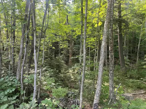 20 Acres Off Co Rd 510, Ishpeming, MI 49849 photo 9