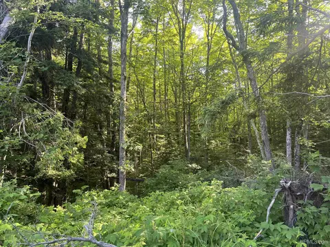 20 Acres Off Co Rd 510, Ishpeming, MI 49849 photo 13