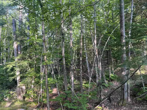 20 Acres Off Co Rd 510, Ishpeming, MI 49849 photo 10