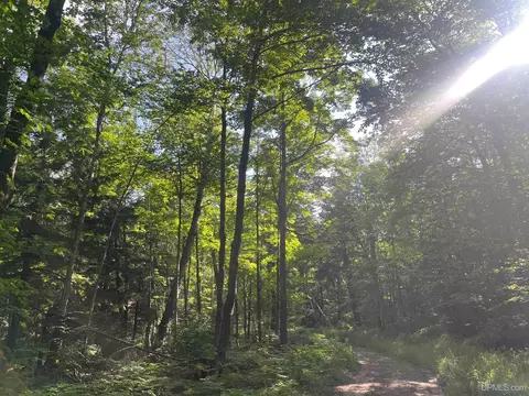 20 Acres Off Co Rd 510, Ishpeming, MI 49849 photo 2