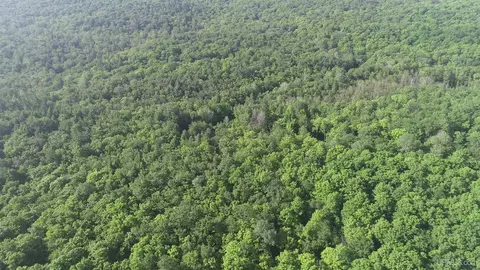 20 Acres Off Co Rd 510, Ishpeming, MI 49849 photo 21