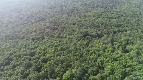 20 Acres Off Co Rd 510, Ishpeming, MI 49849 photo 20