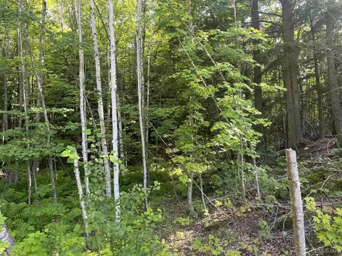 20 Acres Off Co Rd 510, Ishpeming, MI 49849 photo 12