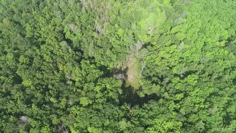 20 Acres Off Co Rd 510, Ishpeming, MI 49849 photo 31