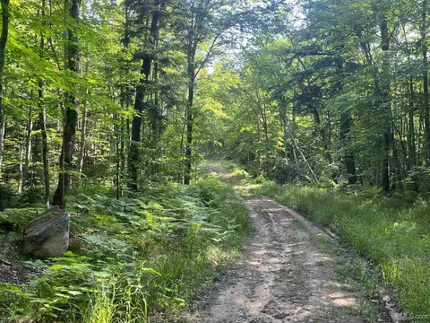 20 Acres Off Co Rd 510, Ishpeming, MI 49849 photo 15