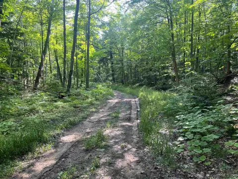 20 Acres Off Co Rd 510, Ishpeming, MI 49849
