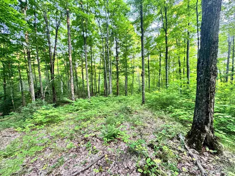 24399 Hillside, Covington, MI 49919 photo 22