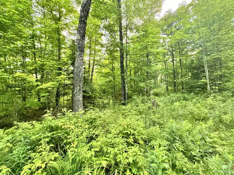 24399 Hillside, Covington, MI 49919 photo 6