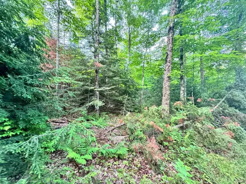 24399 Hillside, Covington, MI 49919 photo 11