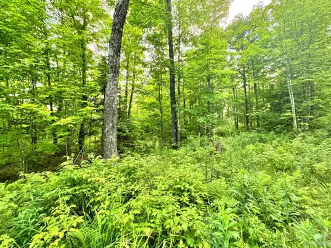 24399 Hillside, Covington, MI 49919 photo 10