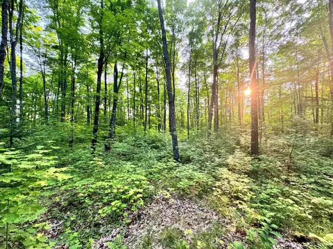 24399 Hillside, Covington, MI 49919 photo 20