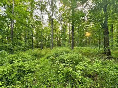 24399 Hillside, Covington, MI 49919 photo 13