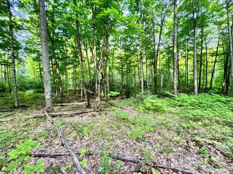 24399 Hillside, Covington, MI 49919 photo 21
