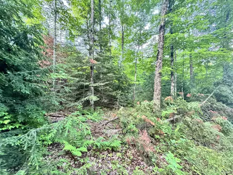 24399 Hillside, Covington, MI 49919 photo 4