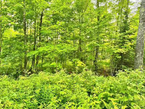 24399 Hillside, Covington, MI 49919 photo 9
