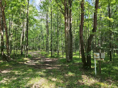 4530 Teaberry, Farwell, MI 48622